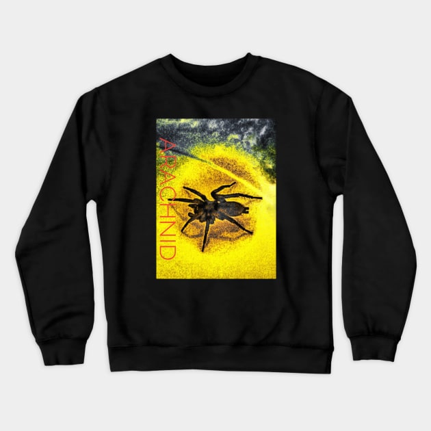 Arachnid Crewneck Sweatshirt by Borges